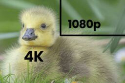مقایسه دوربین های مداربسته 4K و 1080p